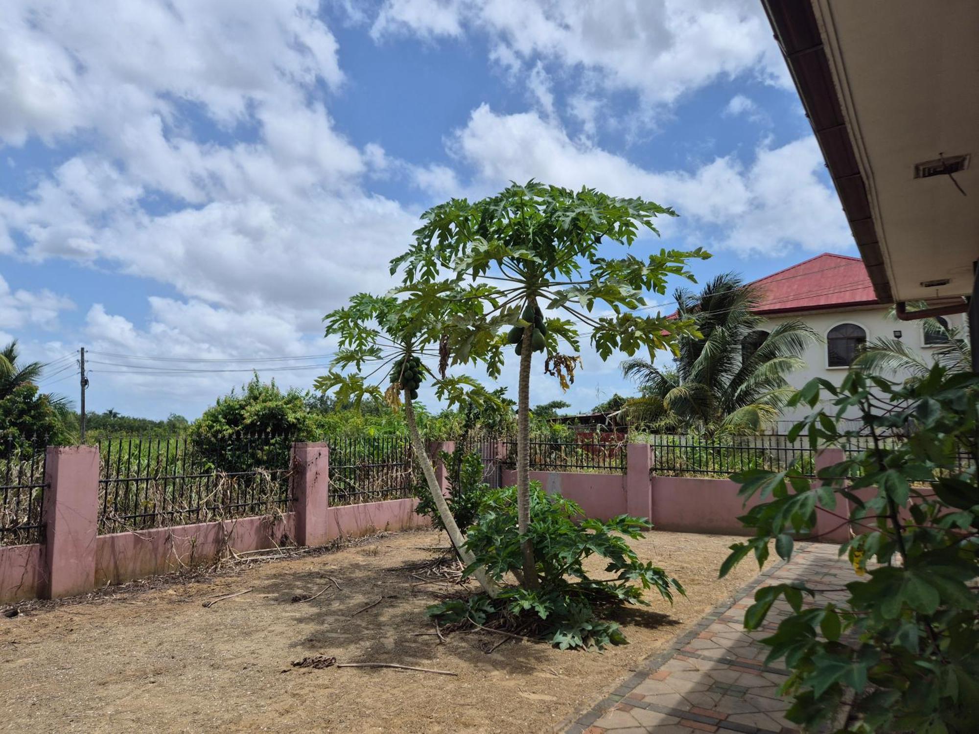 Chander'S Villa Paramaribo Buitenkant foto