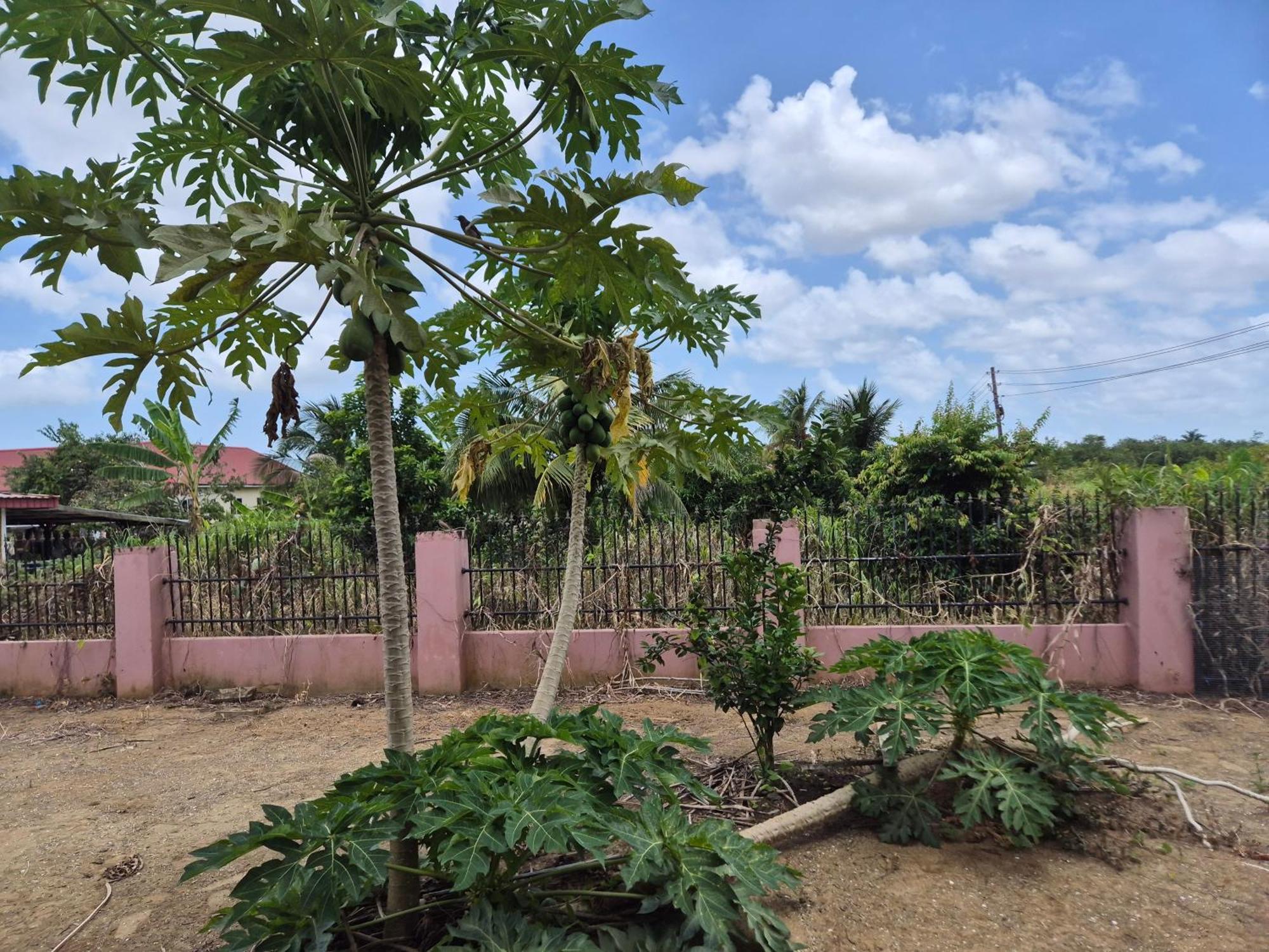 Chander'S Villa Paramaribo Buitenkant foto